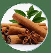 Cinnamon bark